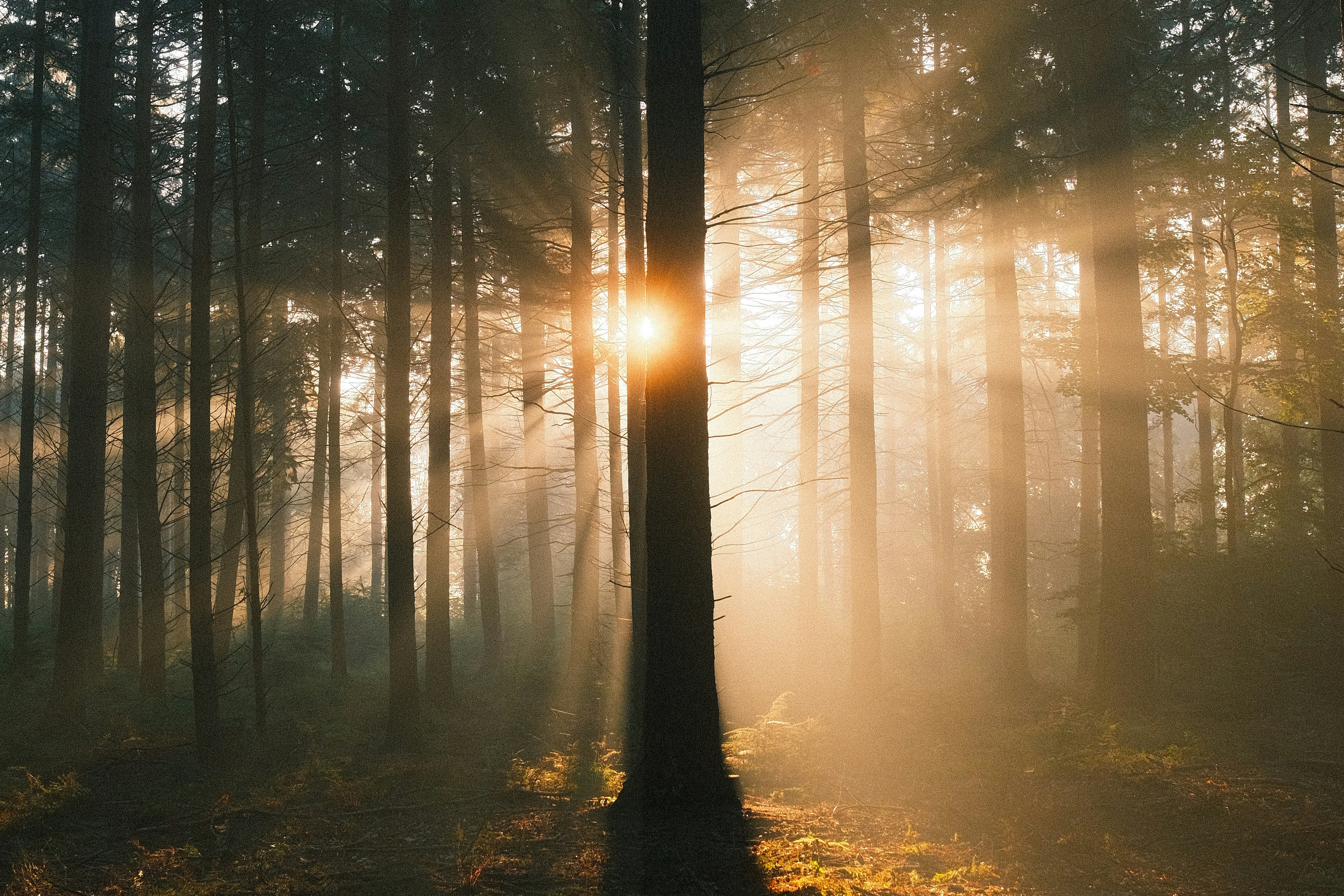 Photo by visualsbying