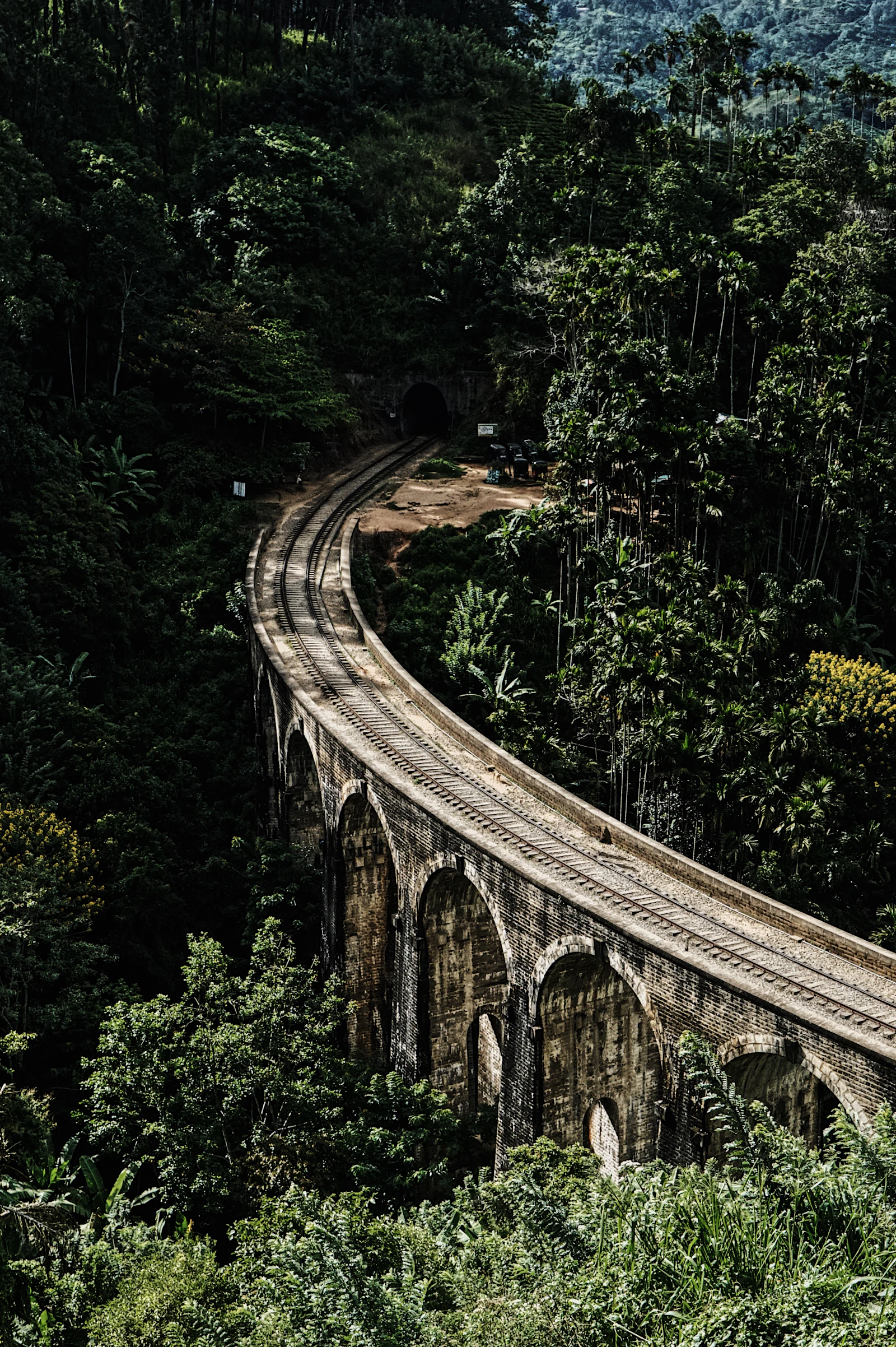 Sri Lanka 7-Day Cultural and Coastal Journey gallery 2