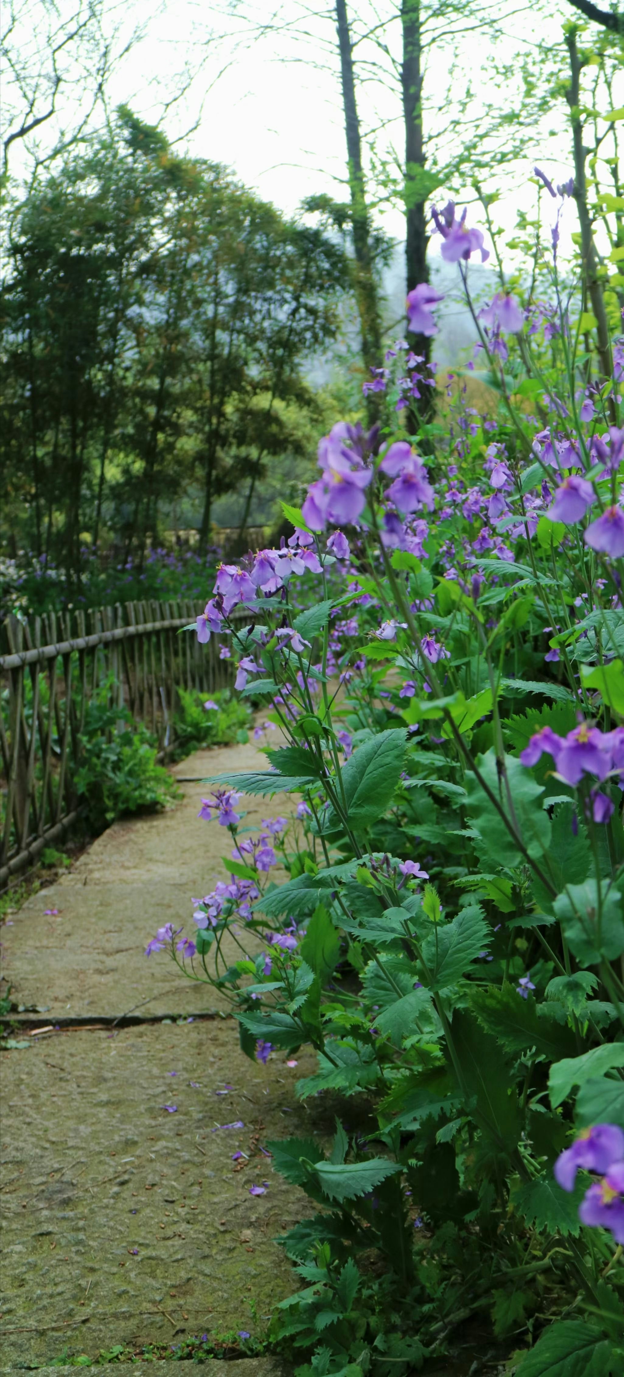 Photo by patrick3111