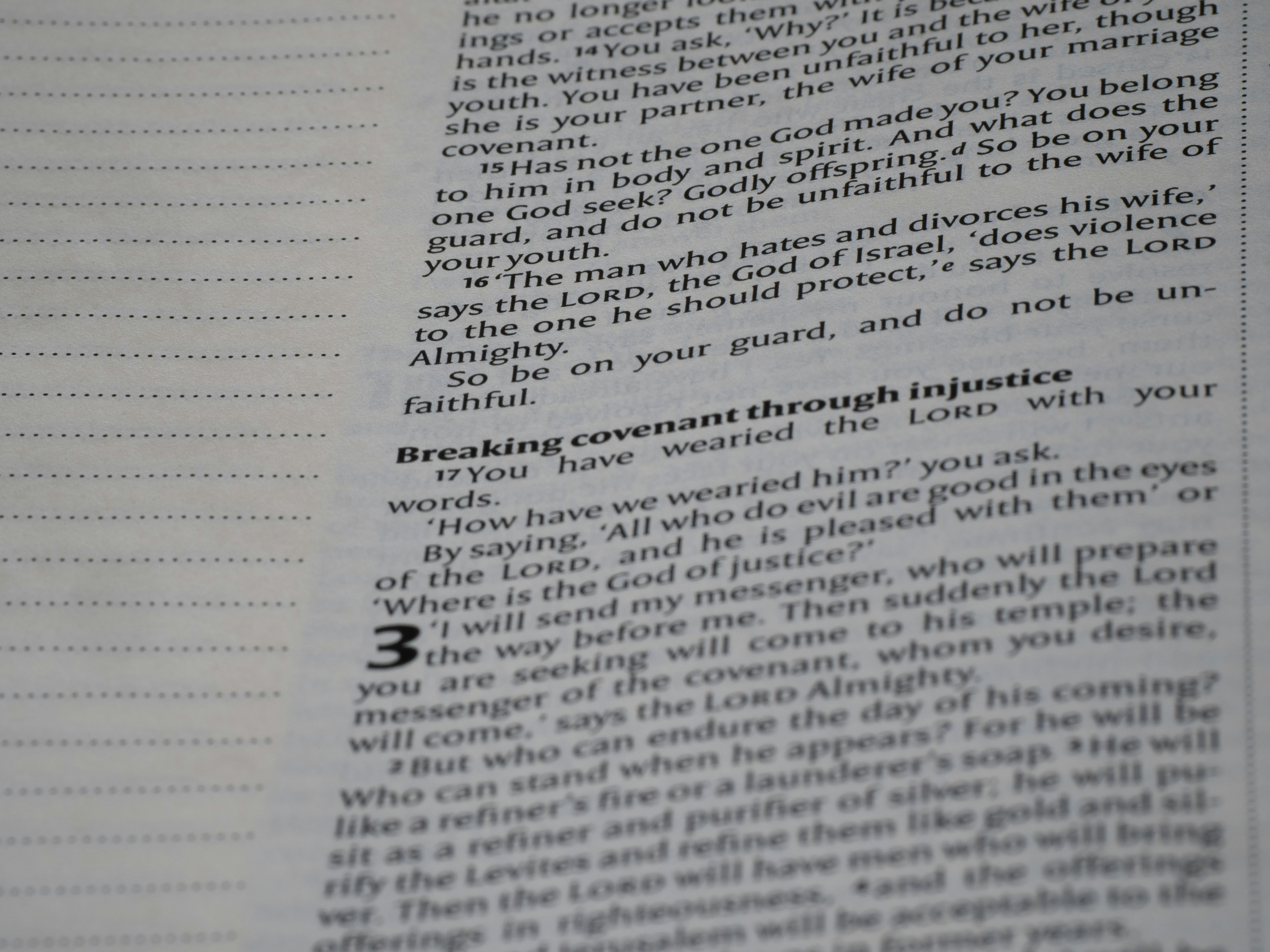 Photo by brett_jordan