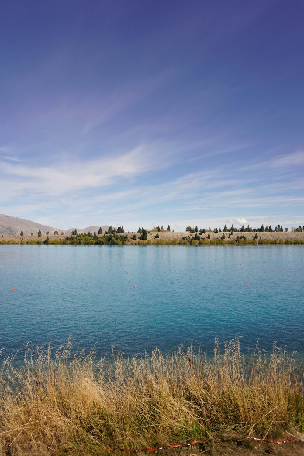 a large body of water surrounded by dry grass