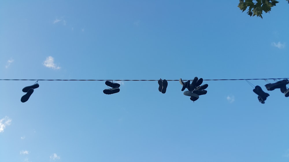 a pair of shoes hanging from a wire