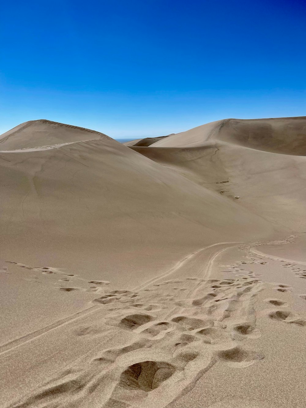 footprints in the sand of a desert under a blue sky