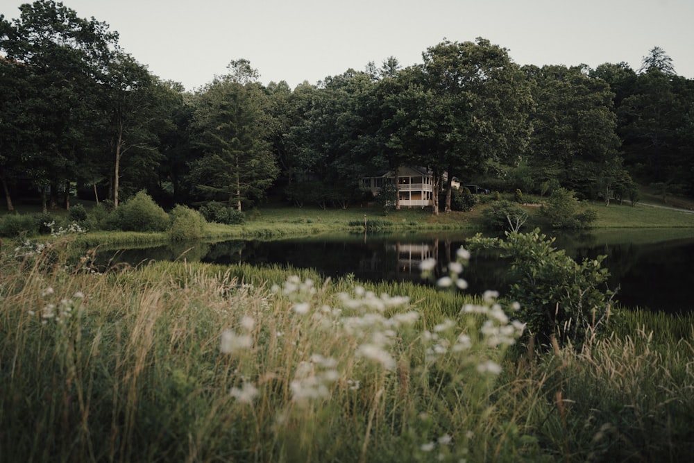 a house sitting on top of a lush green field