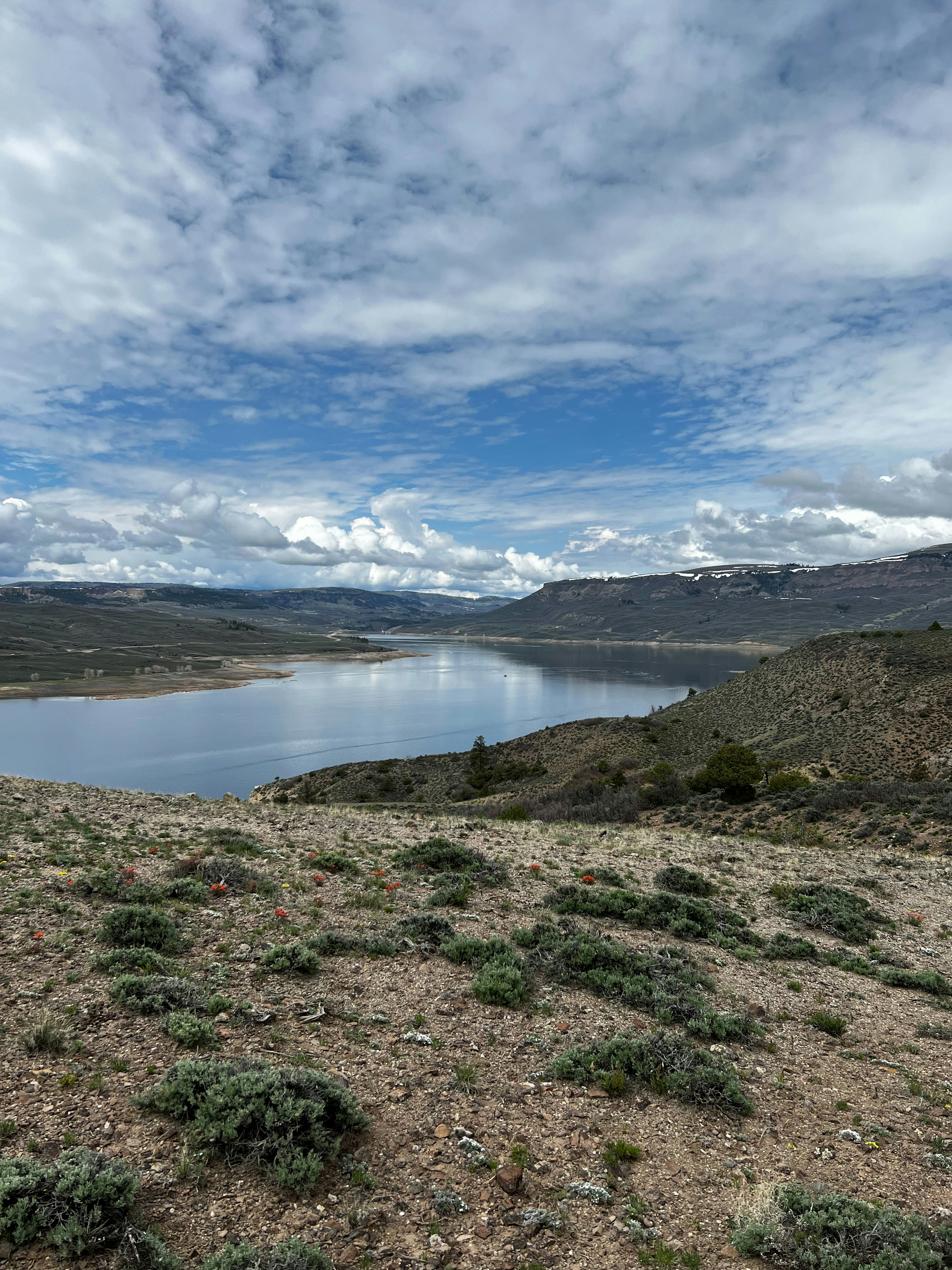 Photo by laitonbarbo