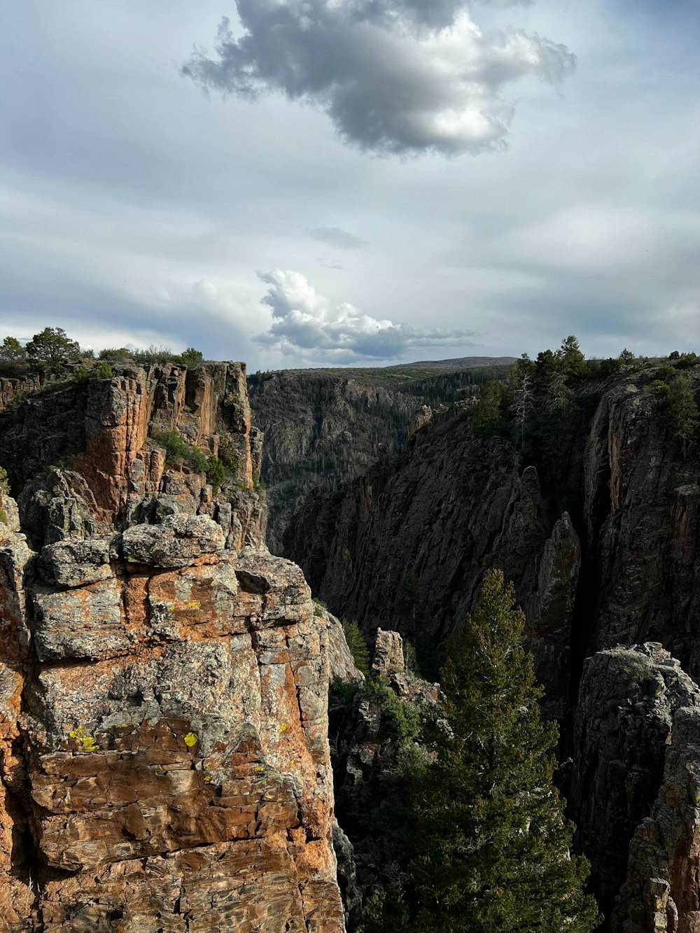 a view of a rocky cliff with trees and clouds in the background