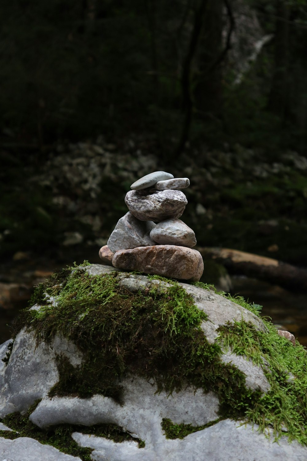 a pile of rocks sitting on top of a moss covered rock