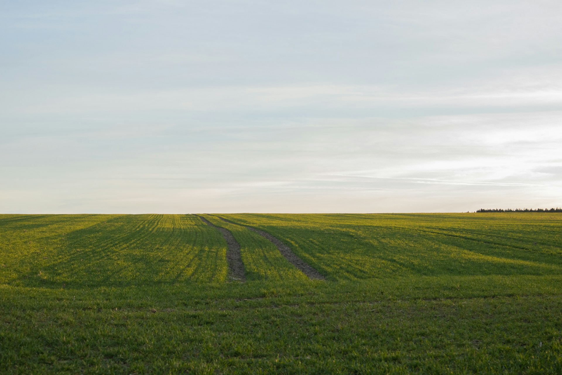 a large field with a dirt road in the middle of it