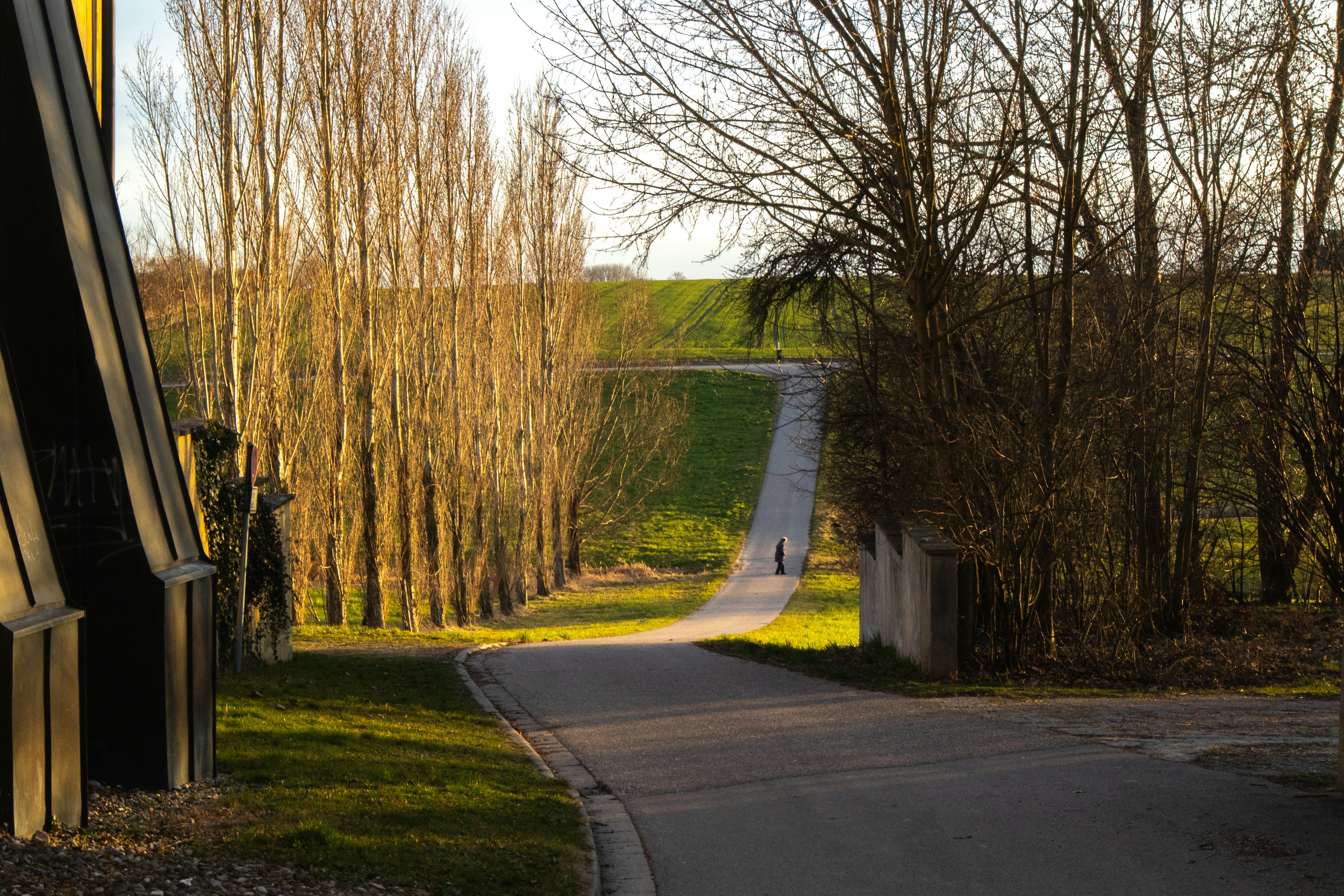 Photo by marko_lengyel