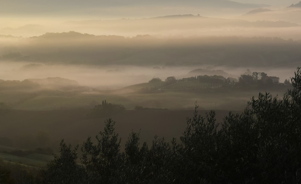 a foggy landscape with trees and hills in the distance