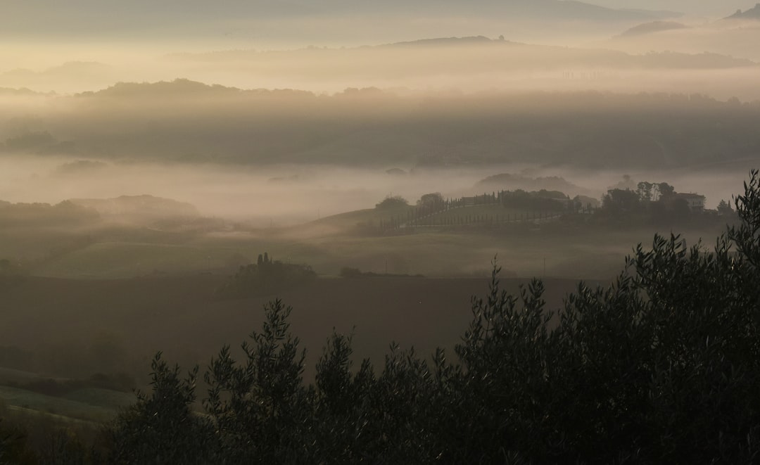 a foggy landscape with trees and hills in the distance, The foggy days