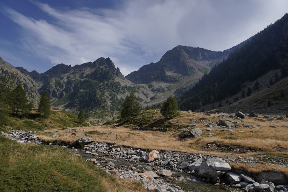 a stream running through a grass covered valley