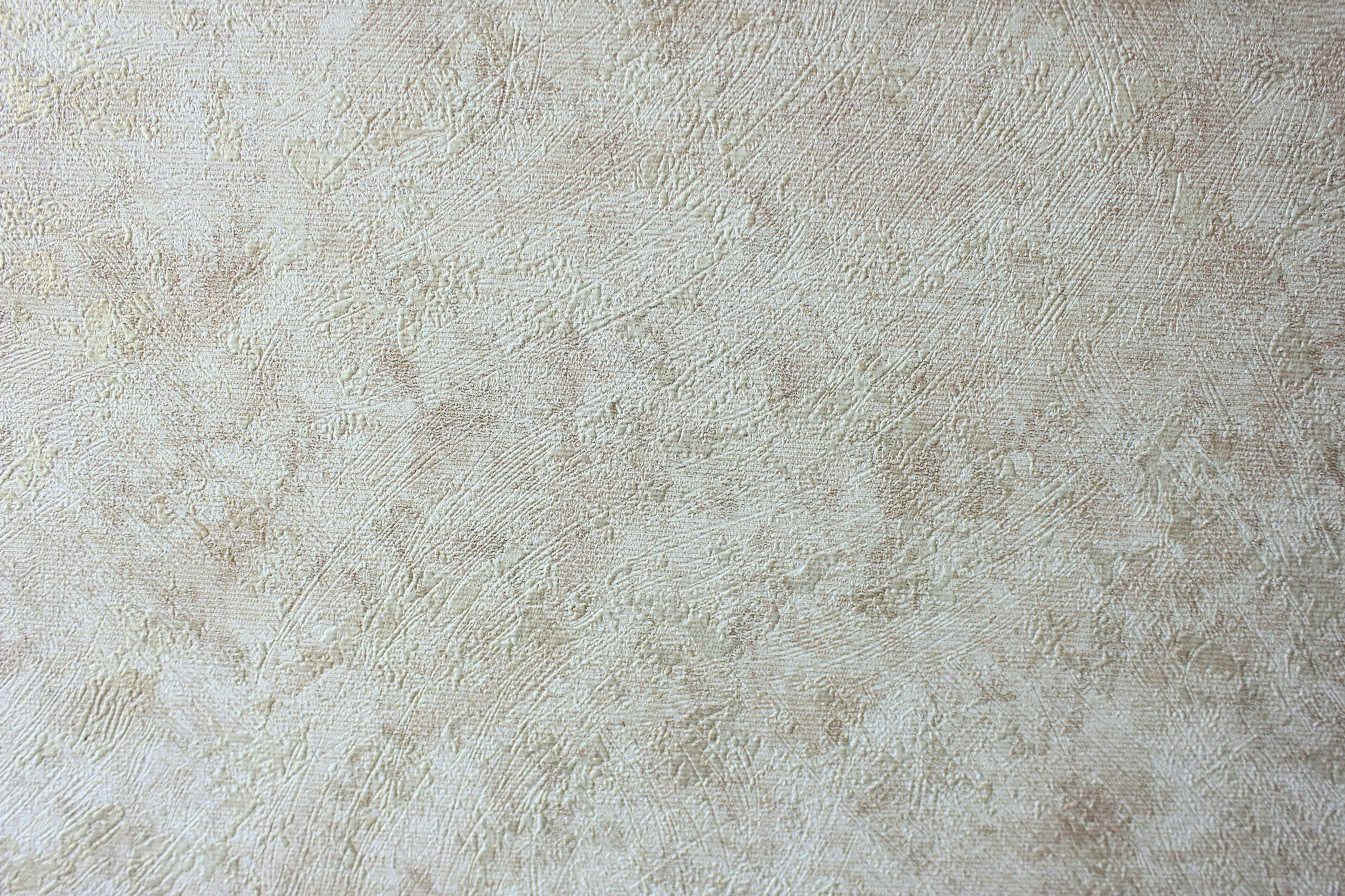 Photo by igornevzgliad