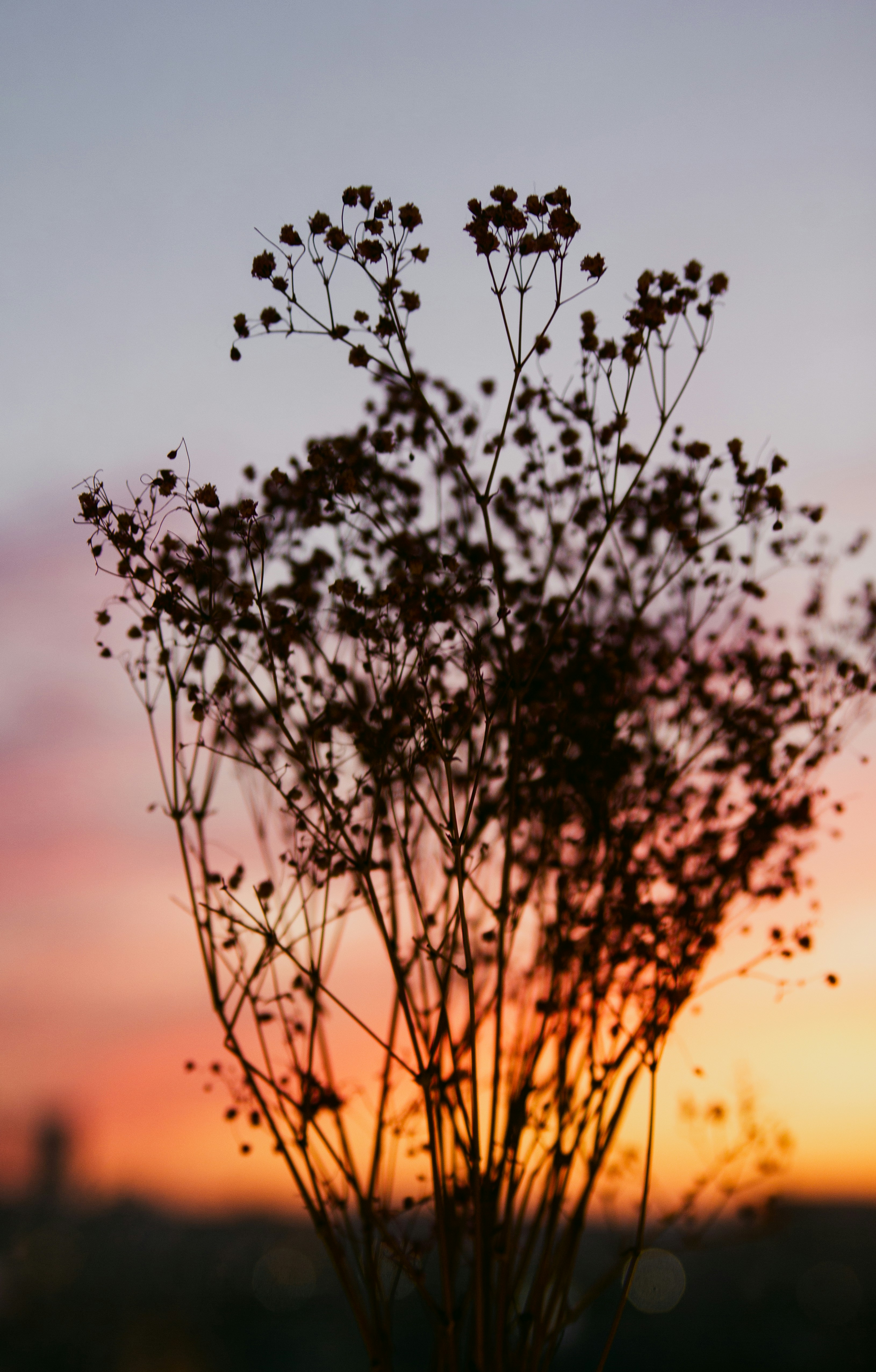 Photo by sam_badmaeva