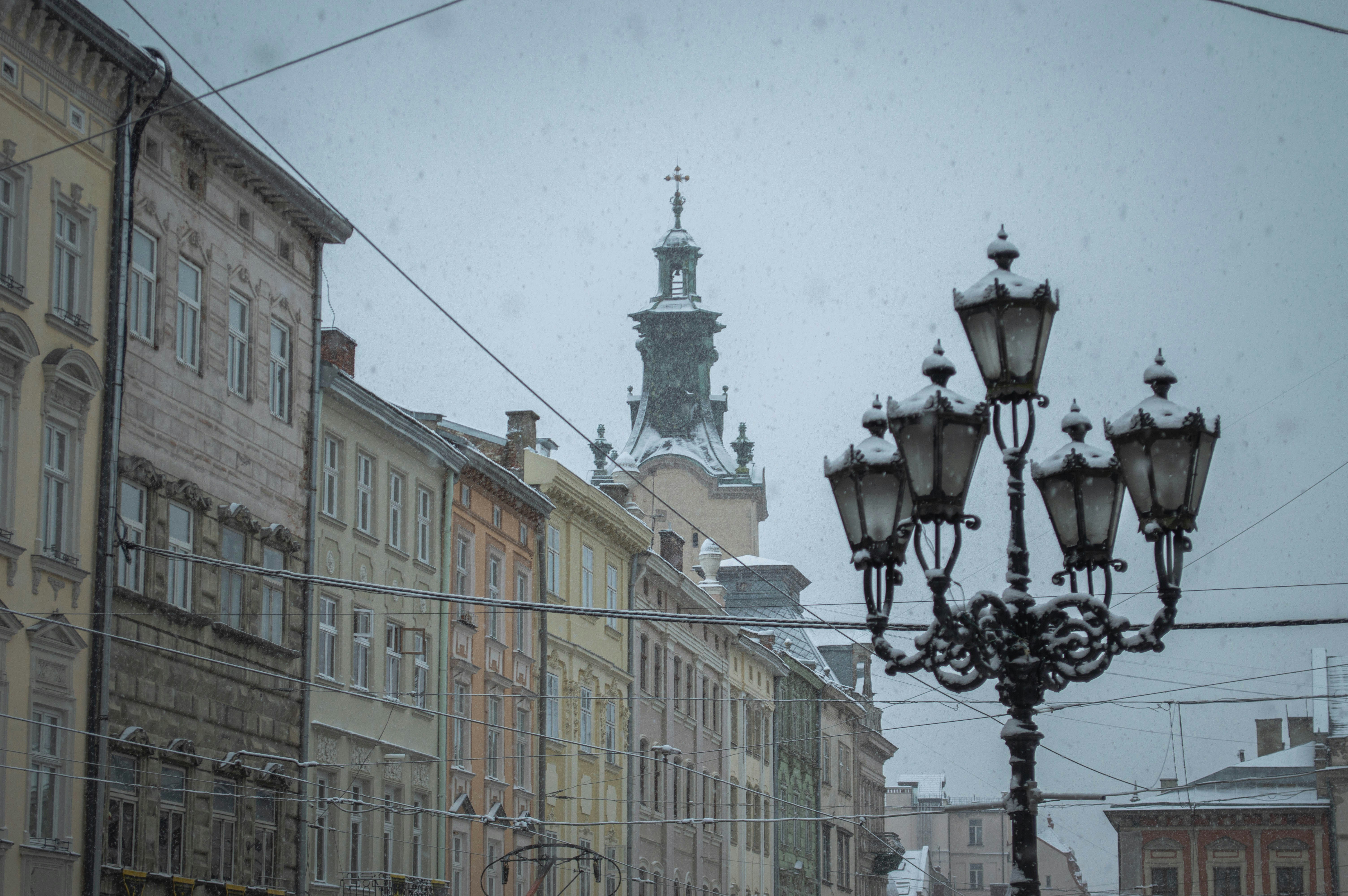 Photo by dmytrodovgan