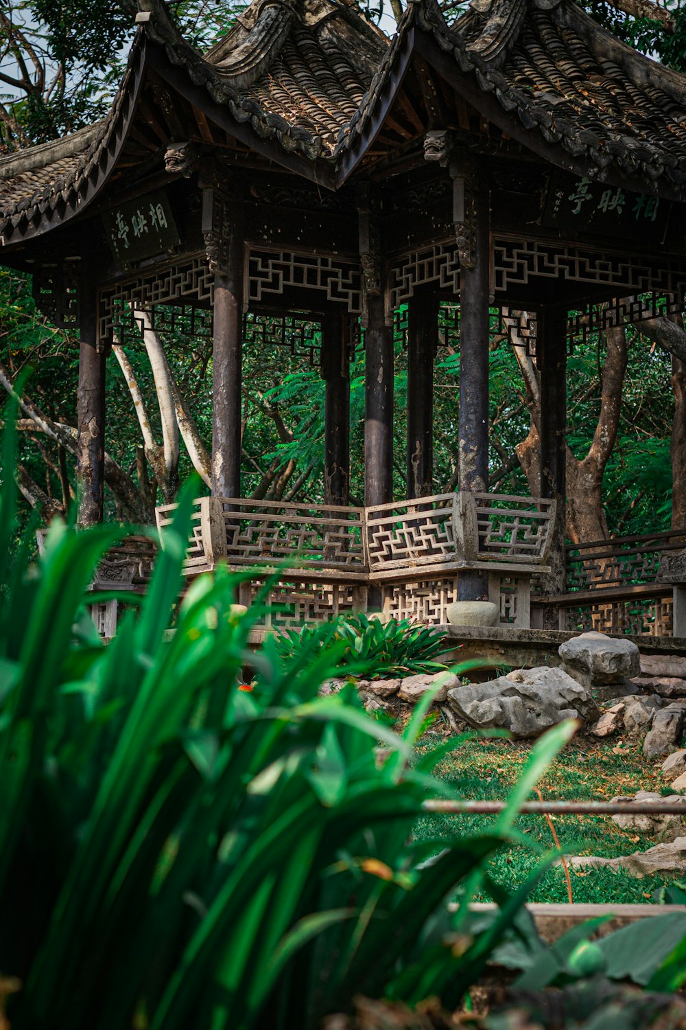 a gazebo in the middle of a lush green forest