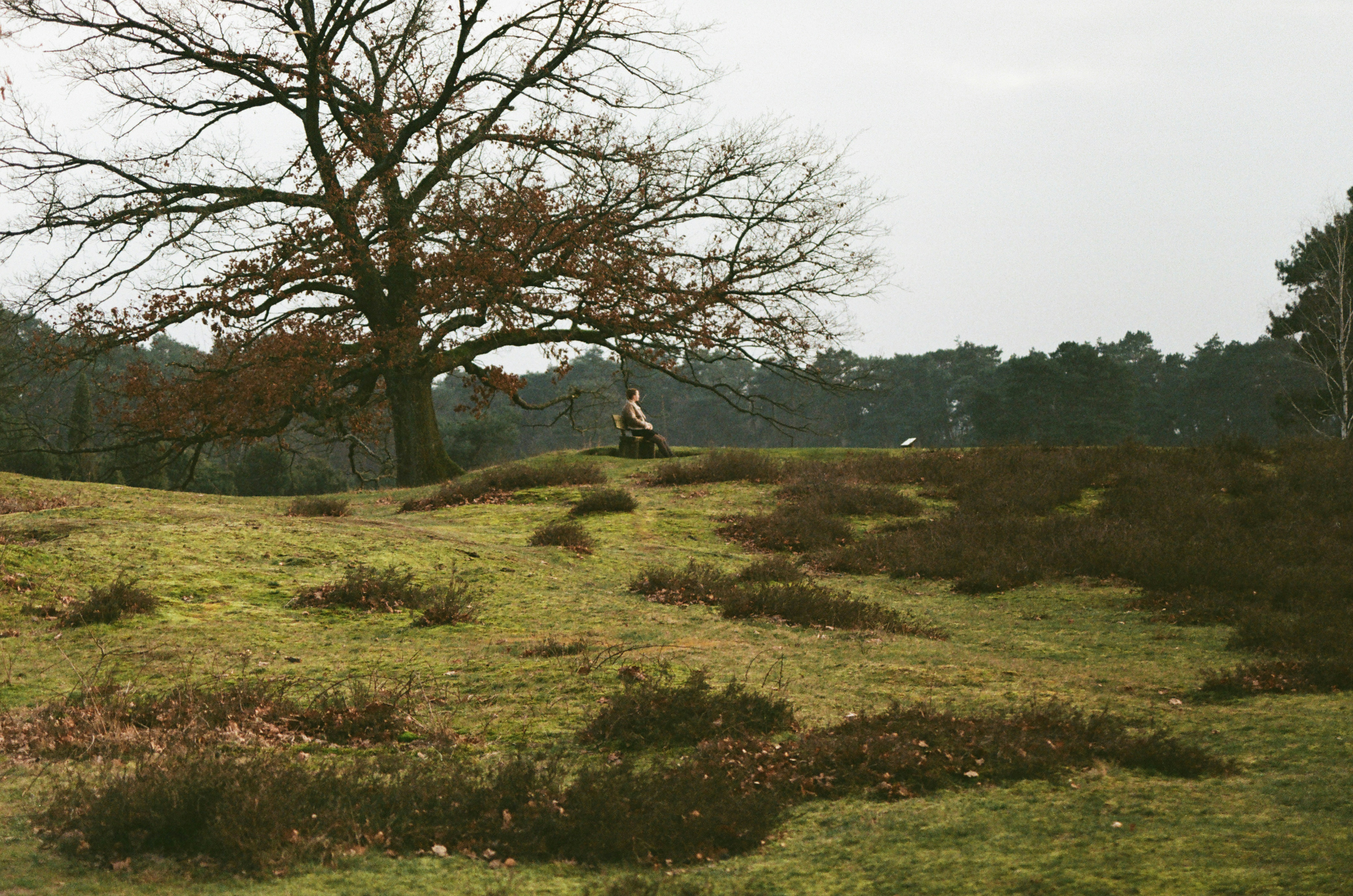 Photo by bernhardbar