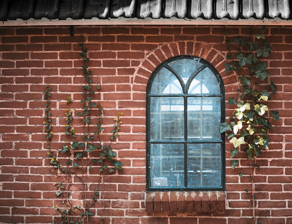 a brick wall with a window and ivy growing on it