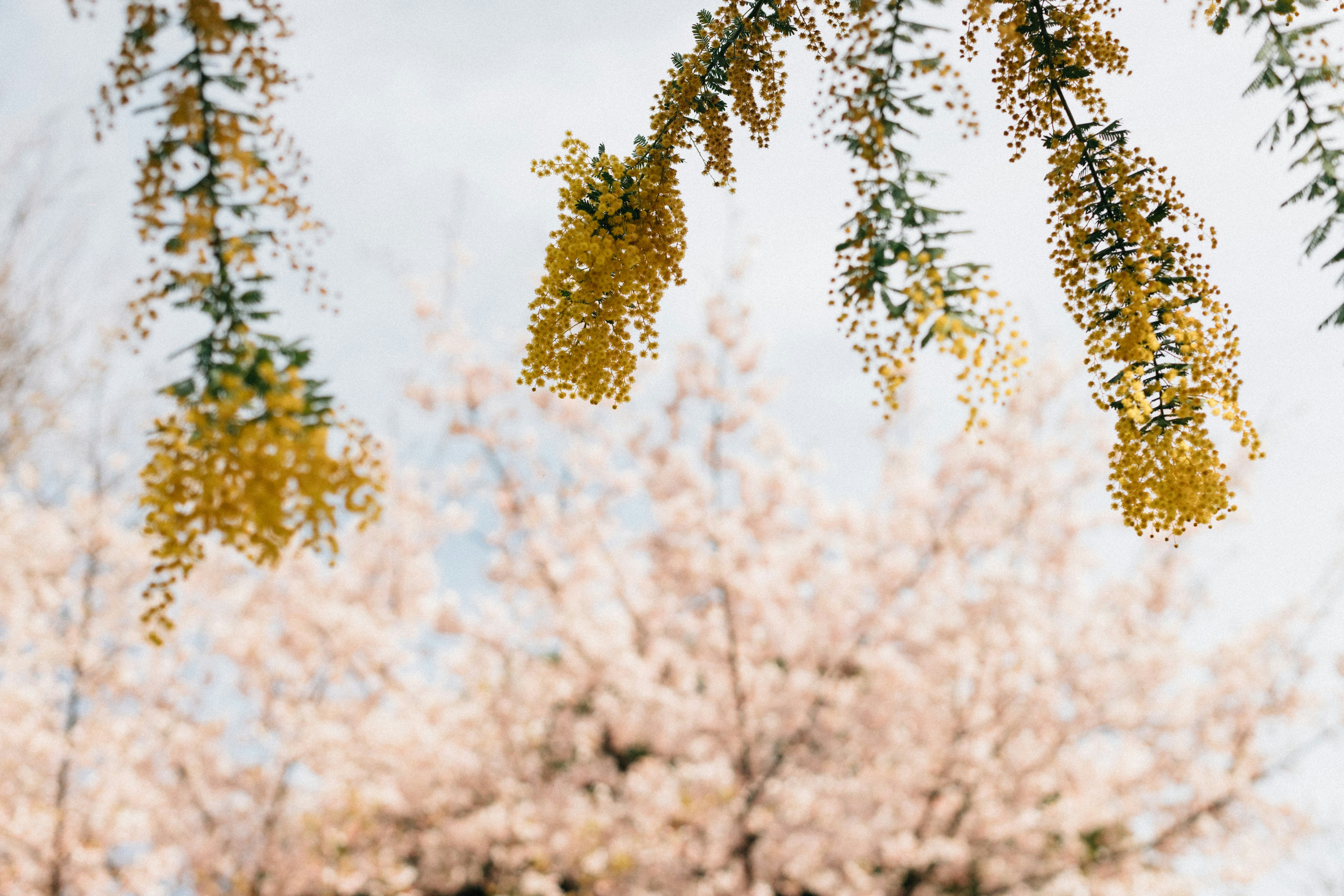 Photo by tsuyoshikozu