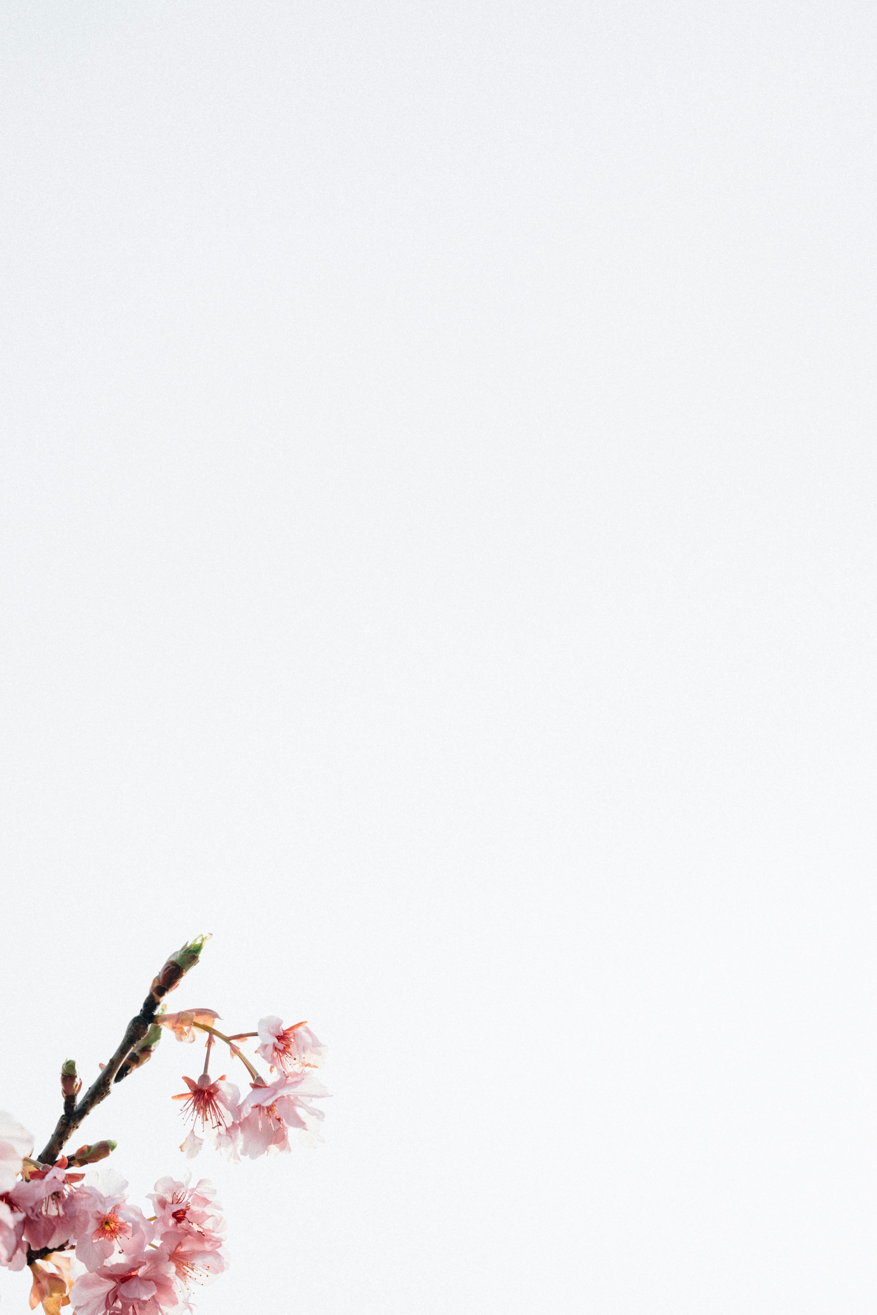 Photo by tsuyoshikozu