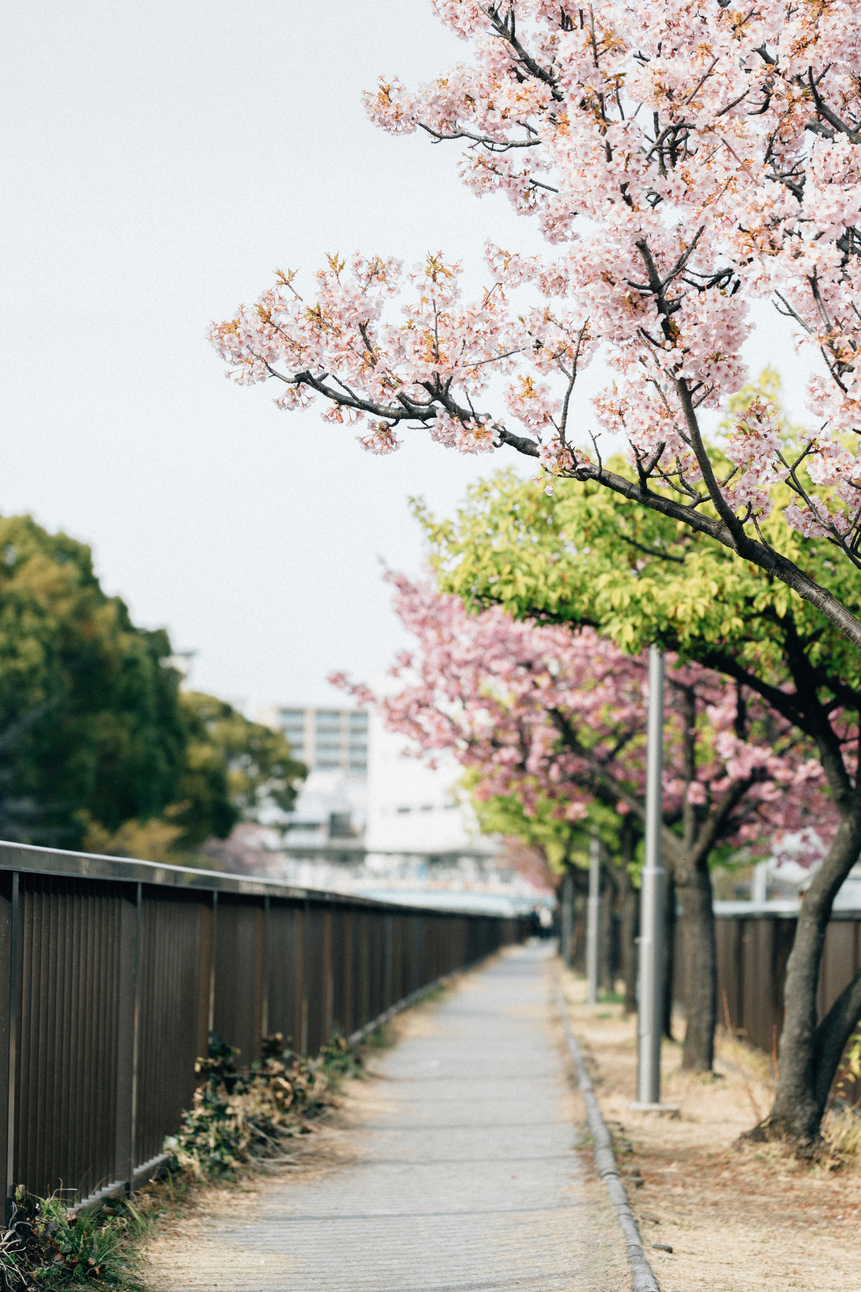 Photo by tsuyoshikozu