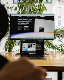 a person sitting in front of a computer screen