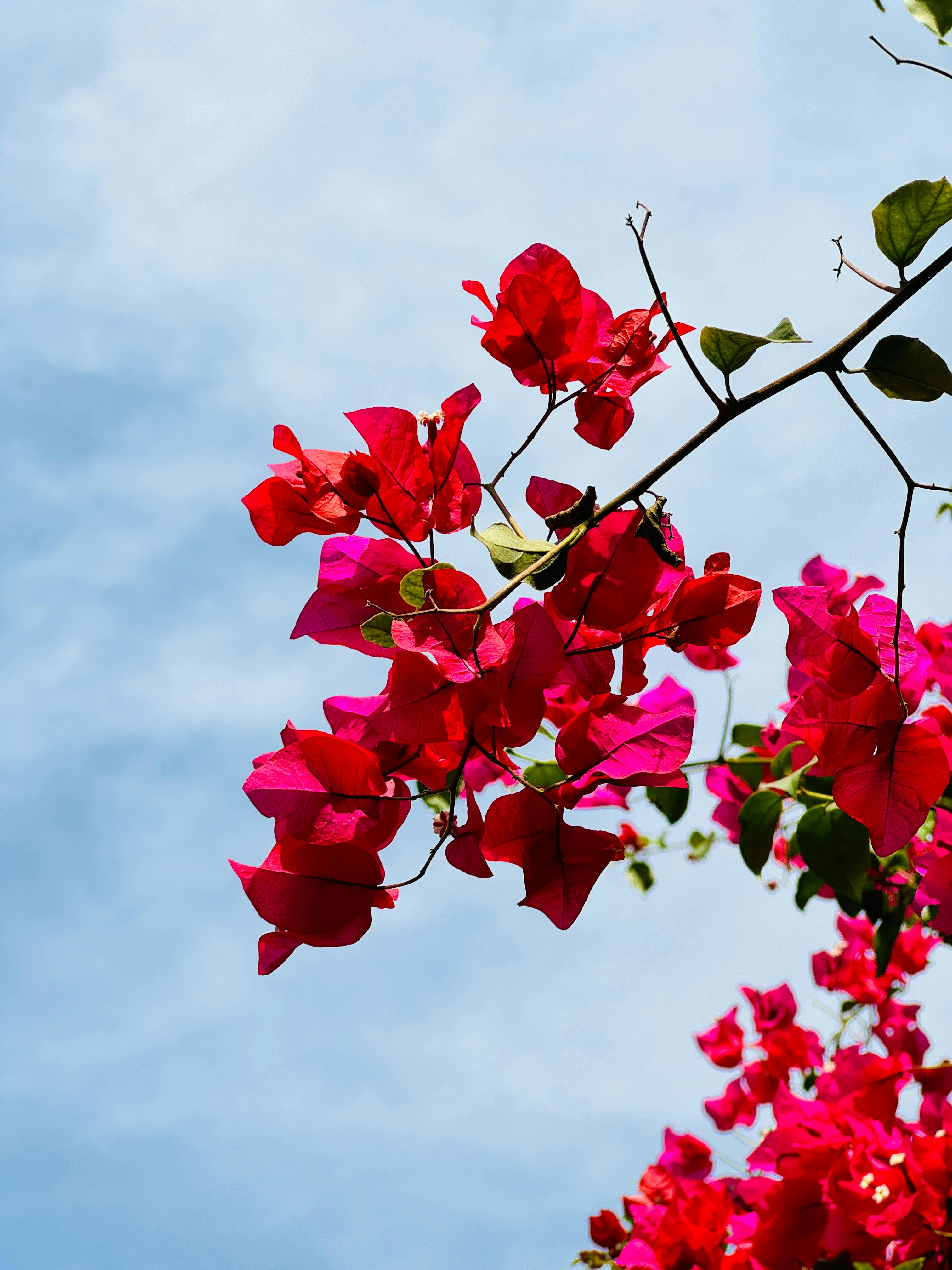 Photo by tanishq47282