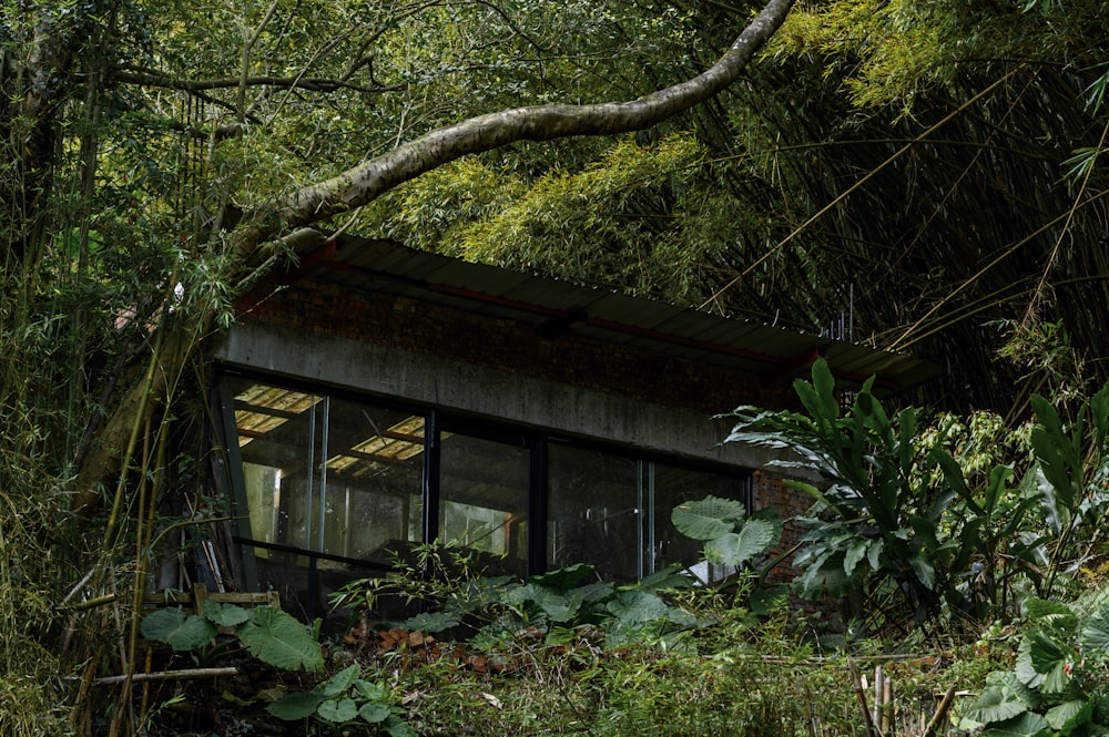 a small building in the middle of a forest