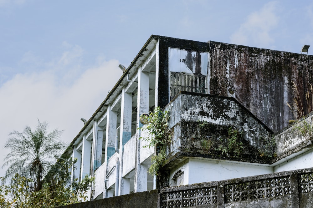 an old building with vines growing out of it