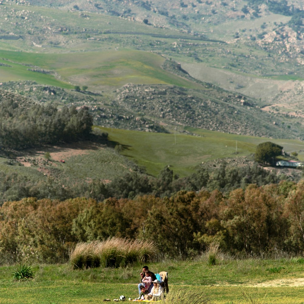 a couple of people sitting on a bench in a field