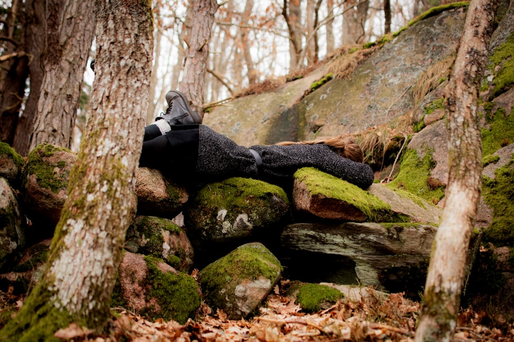 a stuffed animal laying on top of a pile of moss covered rocks