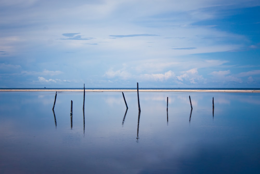 a body of water with a bunch of poles sticking out of it