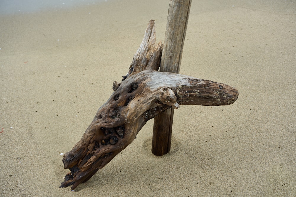 un pezzo di legno sulla sabbia della spiaggia