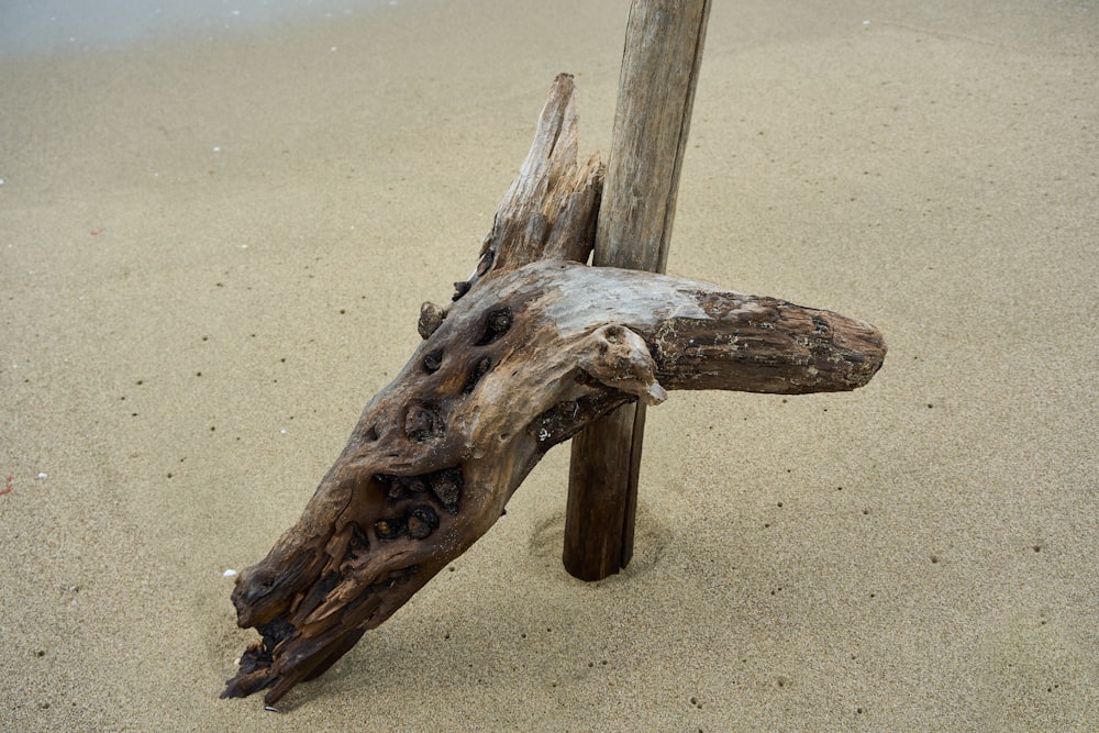a piece of driftwood on the sand at the beach