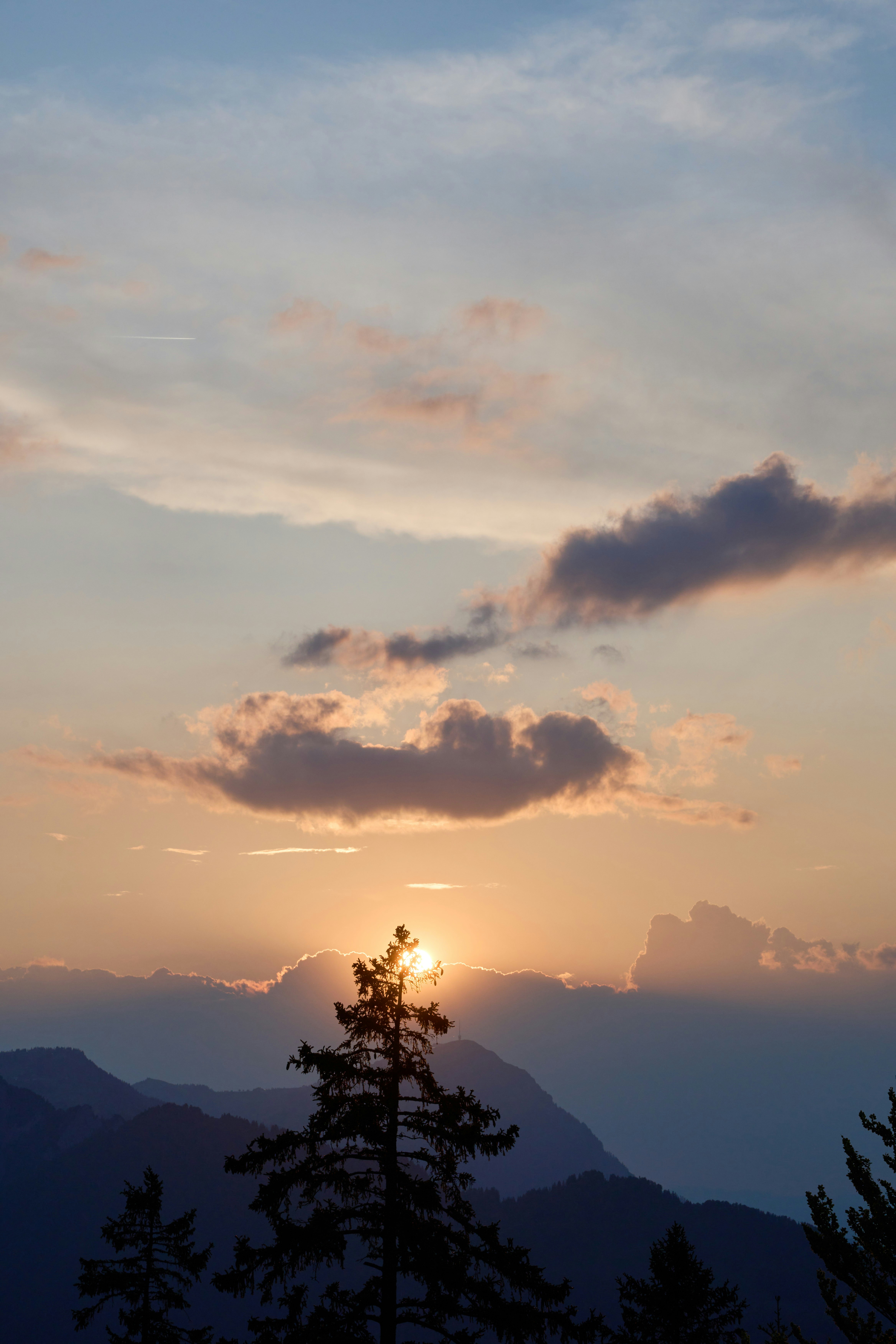 Photo by wolfgang_hasselmann