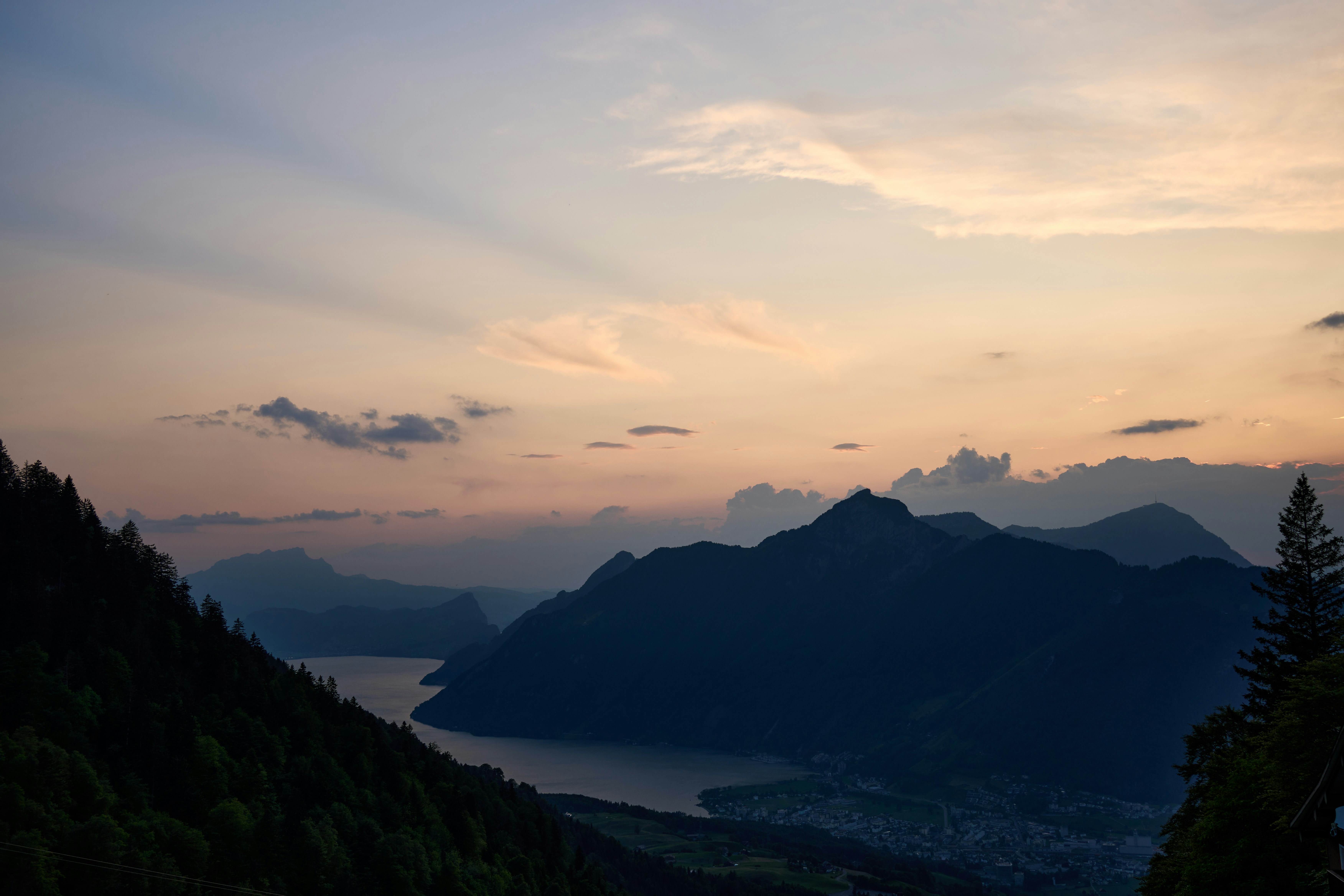 Photo by wolfgang_hasselmann