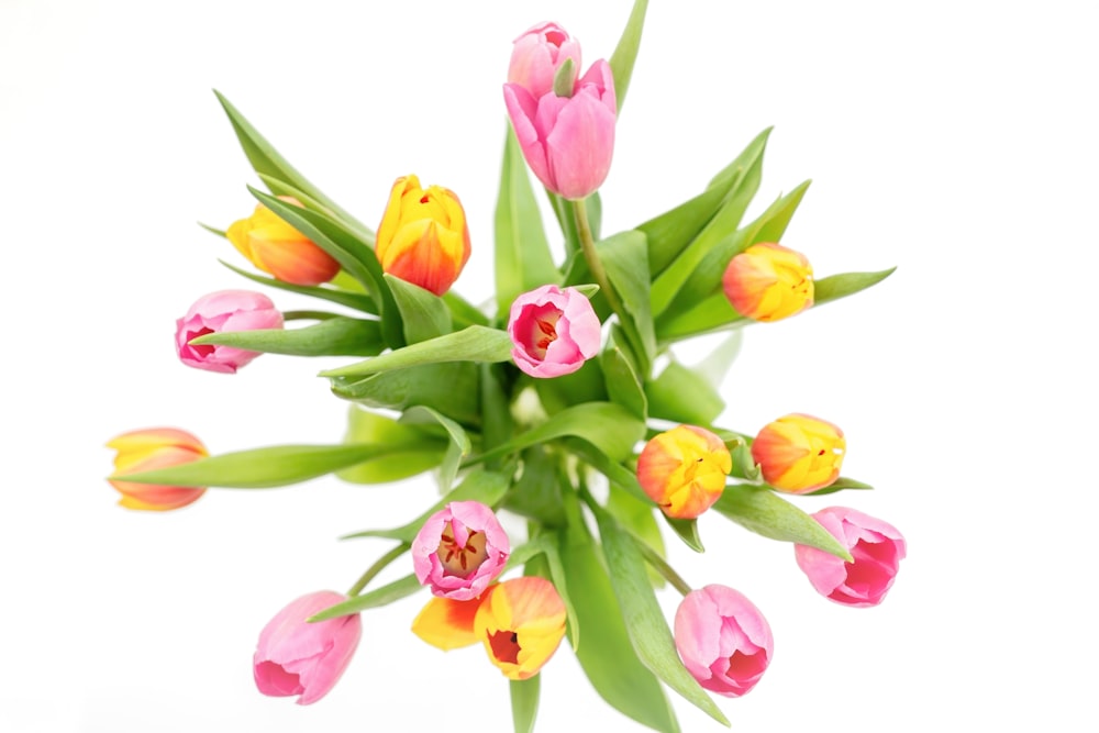 a bunch of pink and yellow tulips in a vase