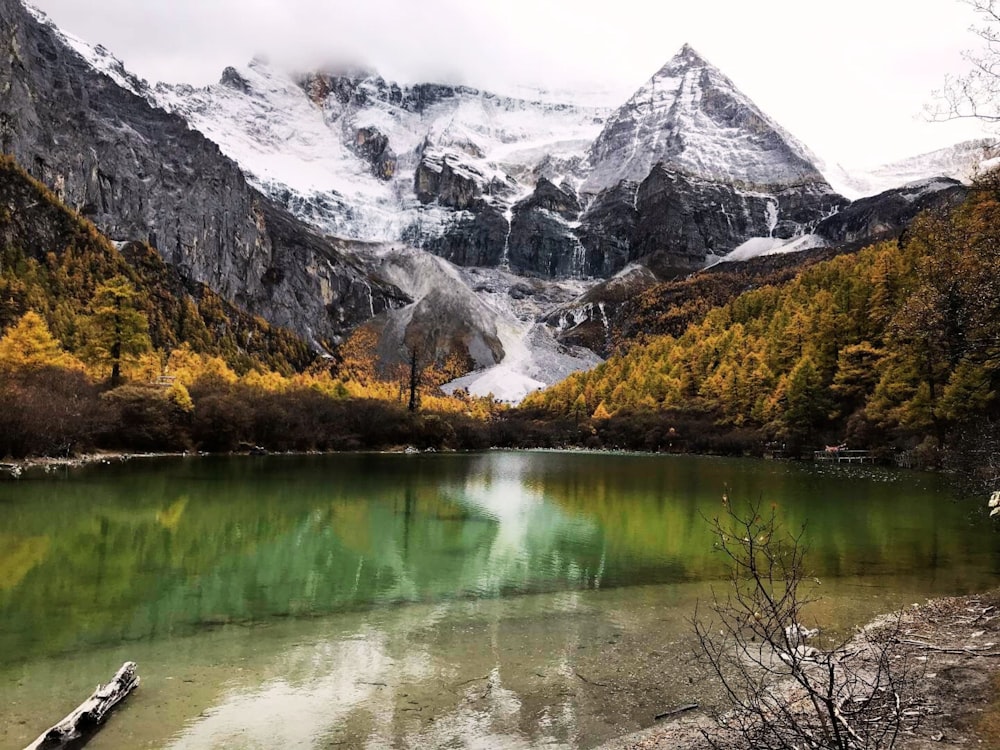 a body of water surrounded by mountains and trees