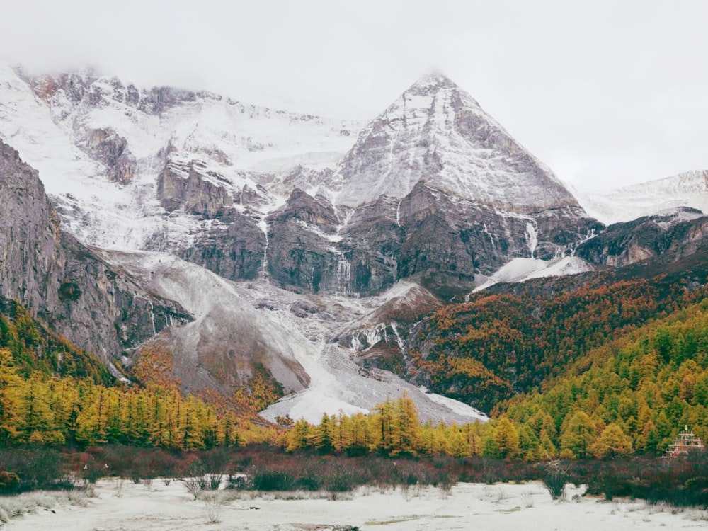 a snow covered mountain range with trees in the foreground