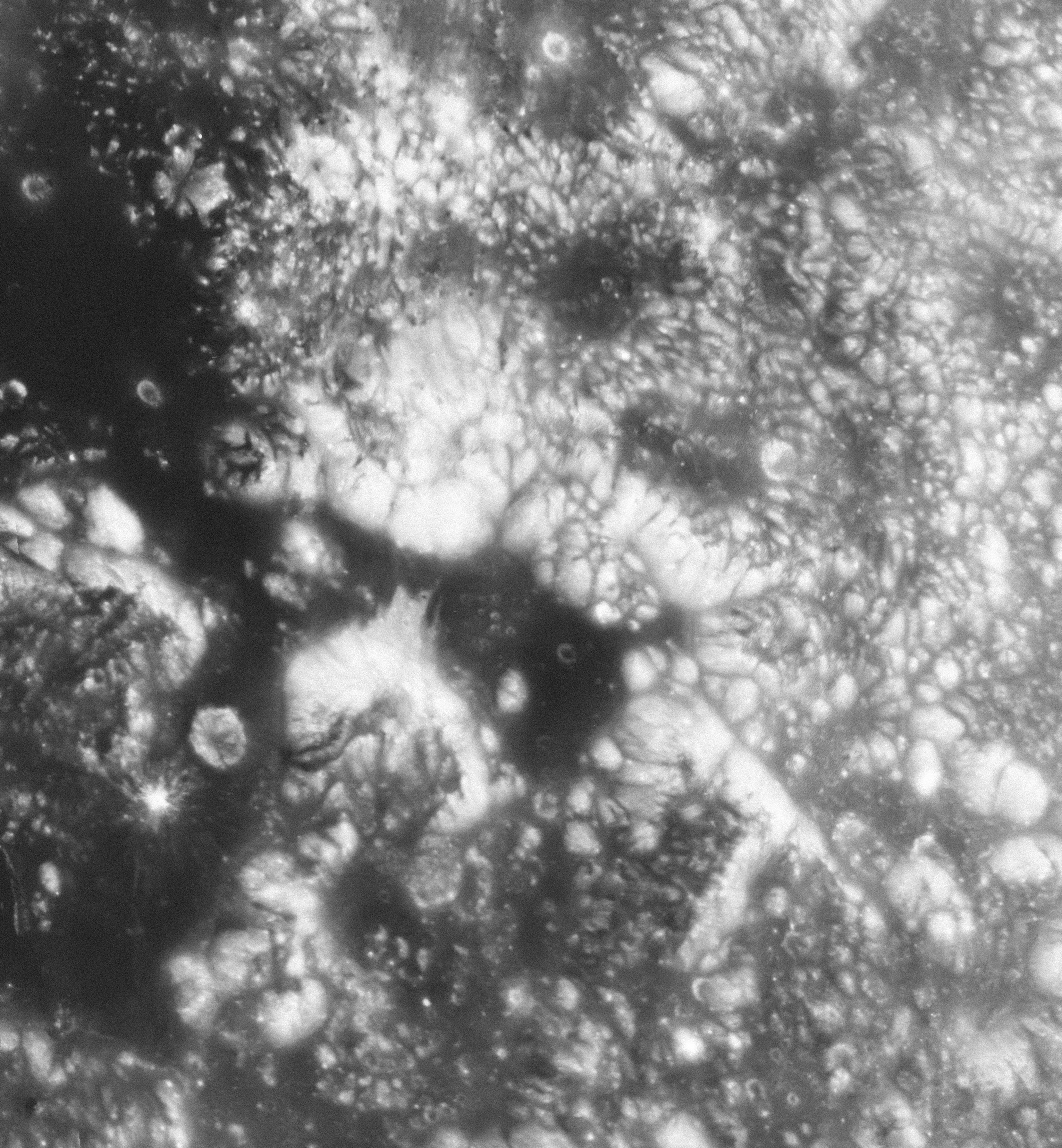 Photo by hubblespacetelescope