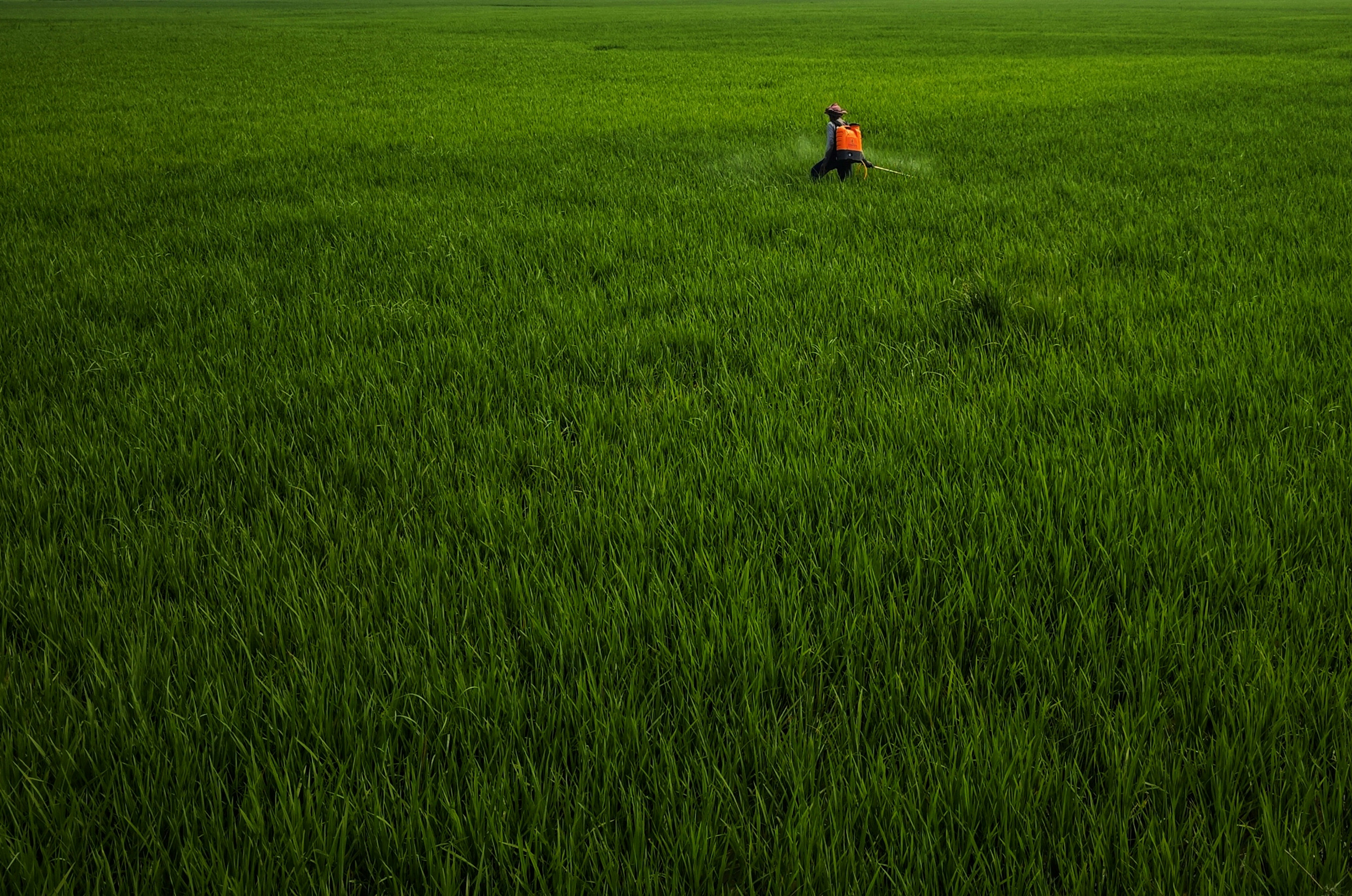 Photo by dibakar16roy