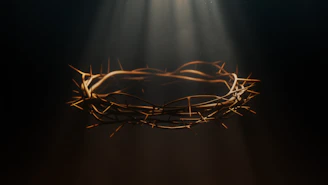 a crown of crown of jesus with rays coming from behind it