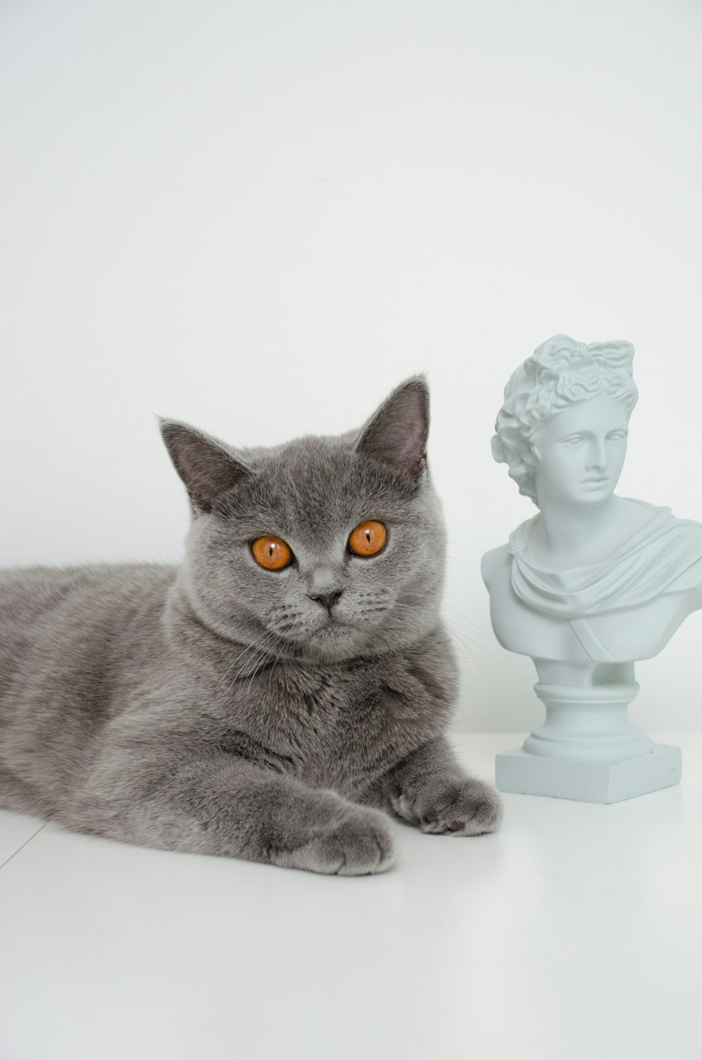 a gray cat laying next to a statue