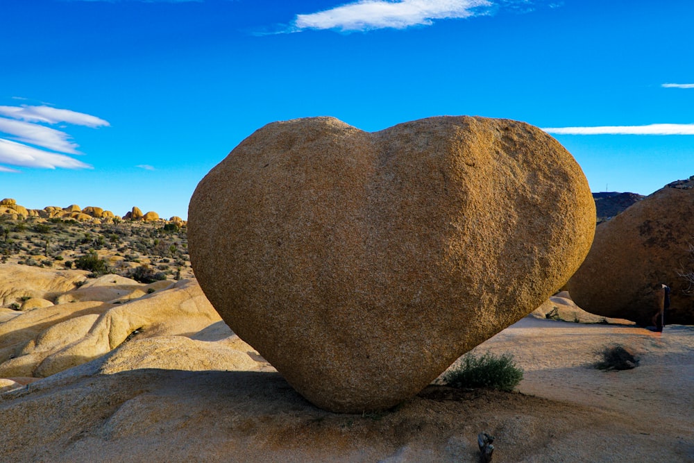 a heart shaped rock in the middle of a desert