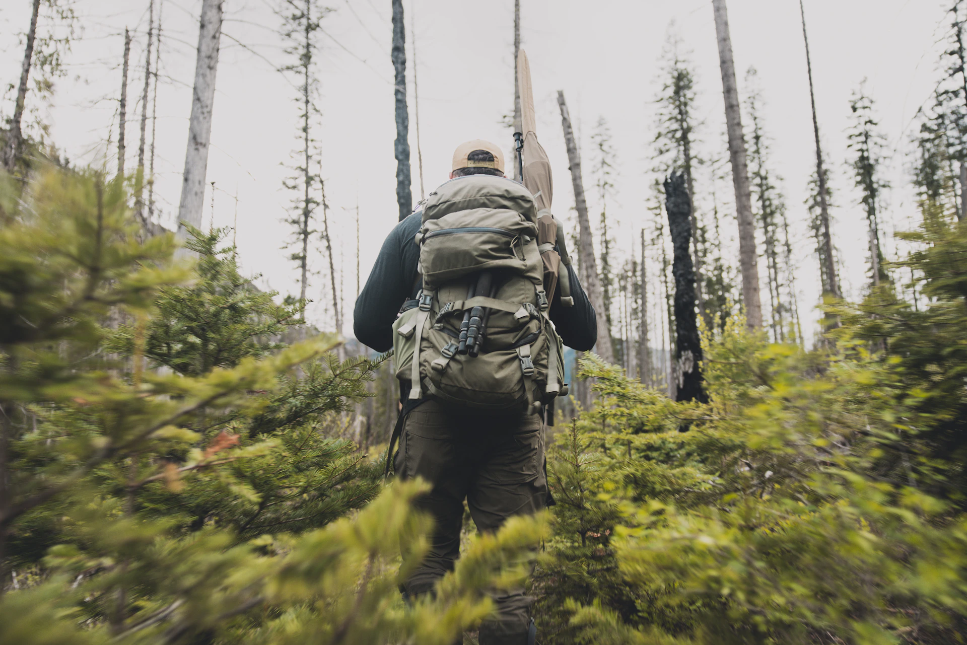 a man with a backpack walking through a forest