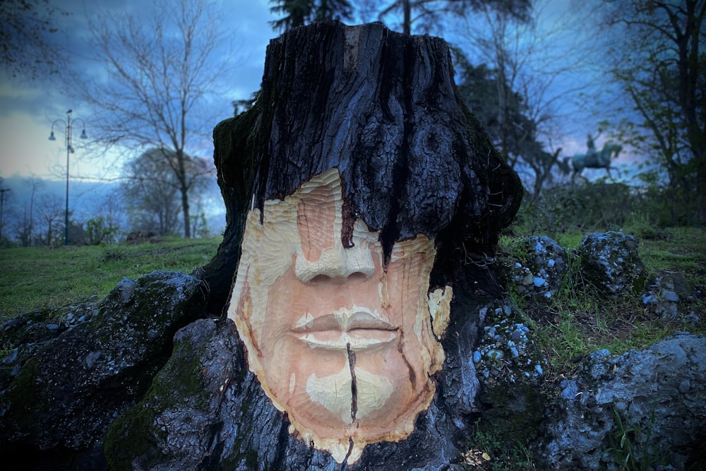 a tree stump with a face carved into it