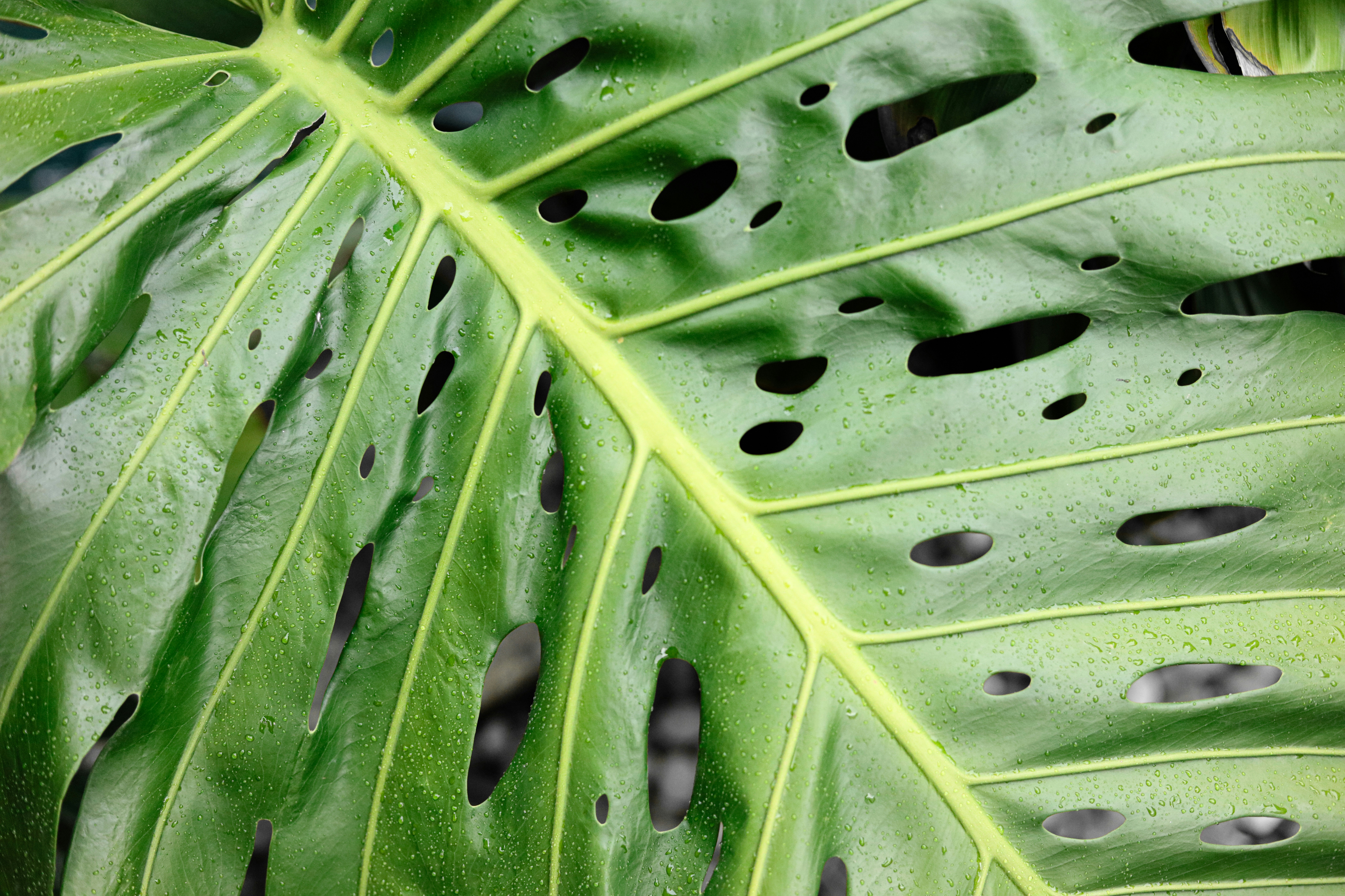 Photo by ashleyinthestars