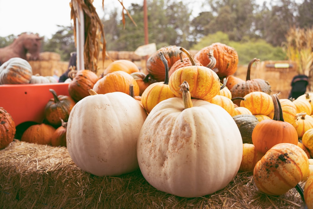 a pile of pumpkins sitting on top of hay