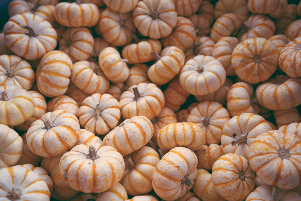 a bunch of small orange and white pumpkins