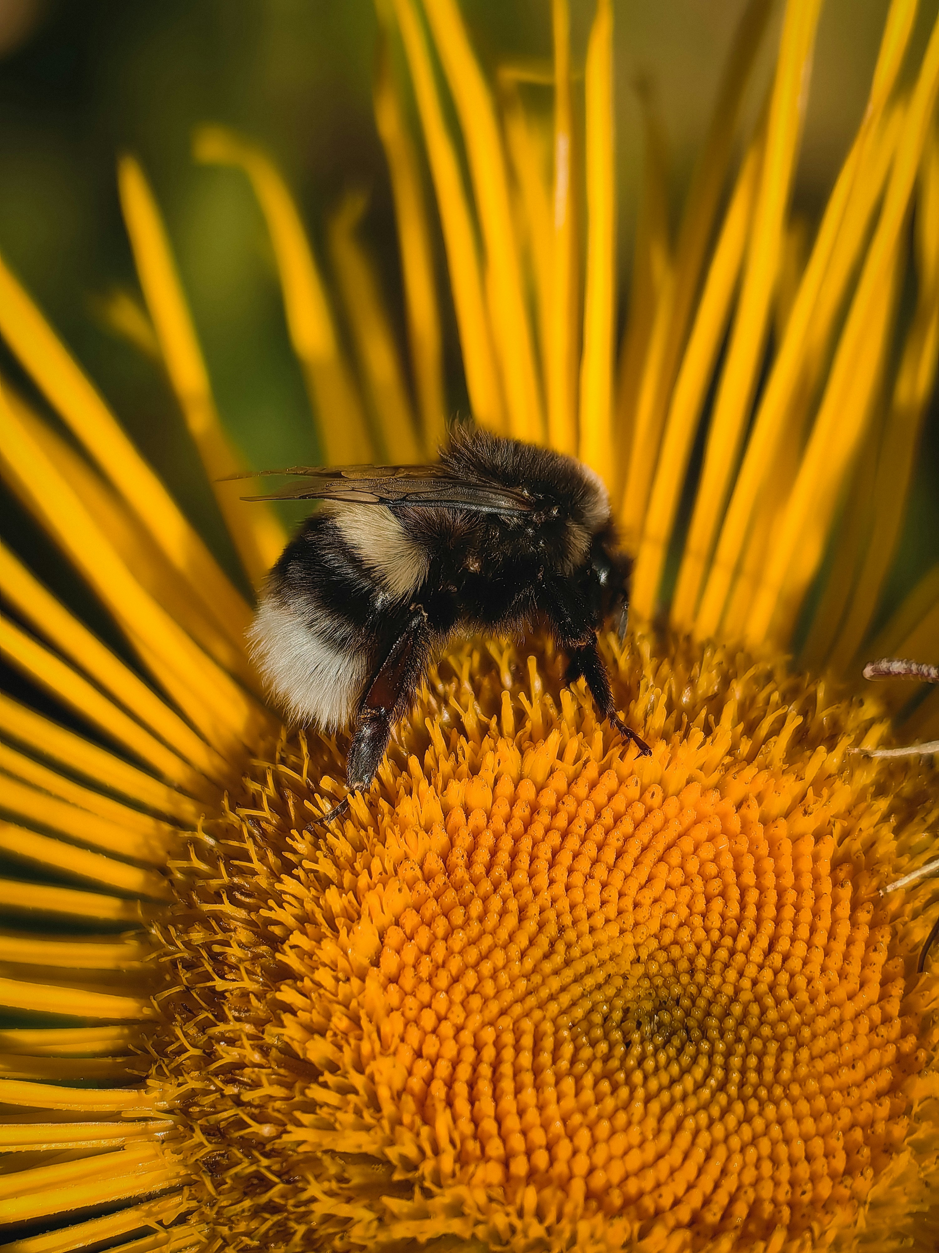 Photo by technosamura1